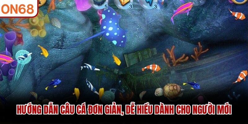 Hướng dẫn câu cá đơn giản, dễ hiểu dành cho người mới